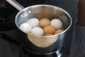 Eier hat kochen