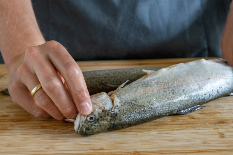 Aromatische Forelle in Alufolie grillen | Rezept - eat.de