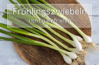 Frühlingszwiebeln einfrieren