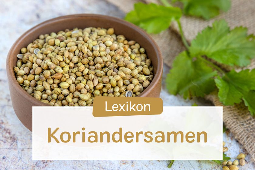 Koriandersamen Lexikon
