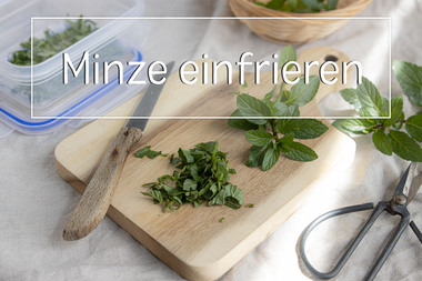 Minze einfrieren