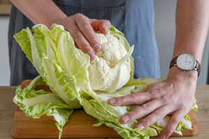 Blätter vom Blumenkohl abtrennen