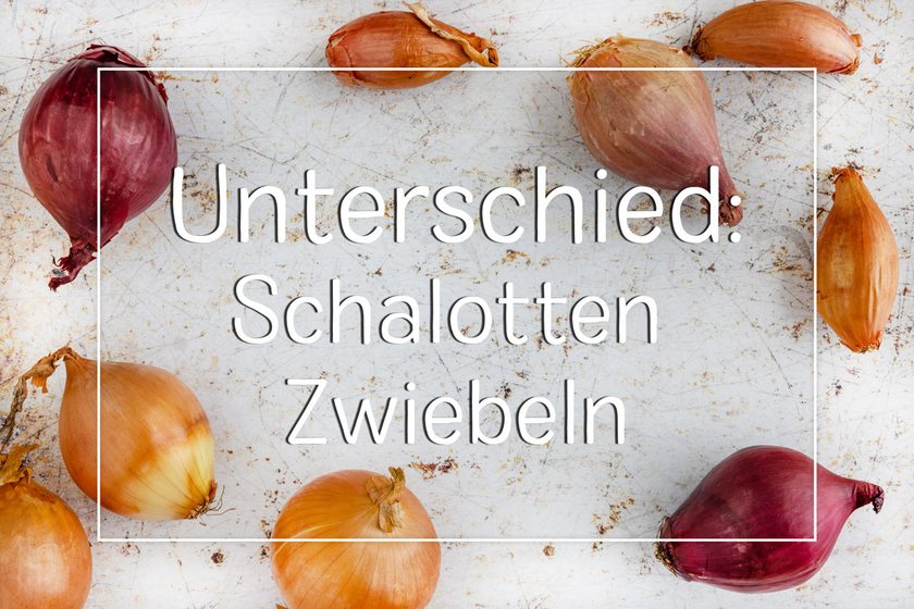 Unterschied zwischen Schalotten und Zwiebeln