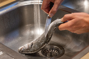Fisch mit Messer entschuppen