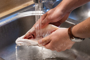 Wolfsbarsch mit Wasser abspülen