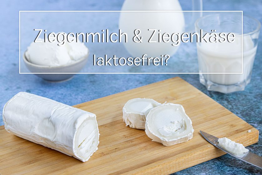 Ziegenmilch und Ziegenkäse laktosefrei