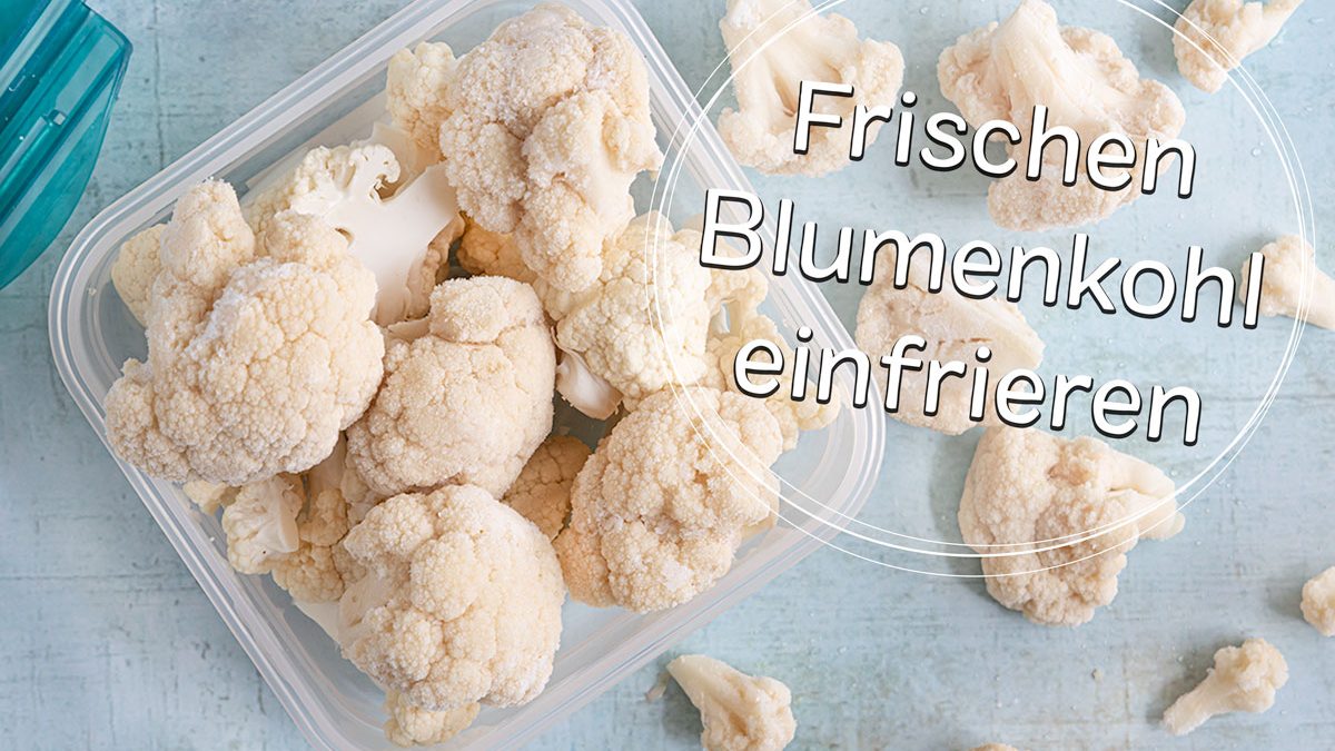amilian tipi zelt WJYLM Tipi-Zelt für Erwachsene, Camping-Pyramidenzelt aus Baumwollleinen mit insektensicherem Netz für 2 bis 3 Personen, für Hochzeiten im #LPN1WOig6VE Kit:Plus Pack Schutzblech Kotflügel vorn, Silber