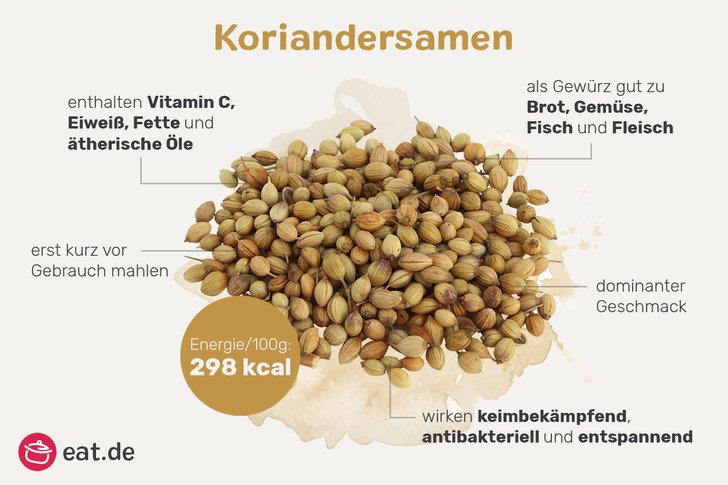 Infografik Koriandersamen