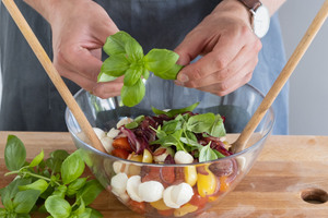 Basilikum zu Tomatensalat geben