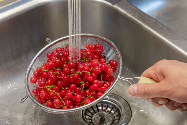 Johannisbeeren waschen