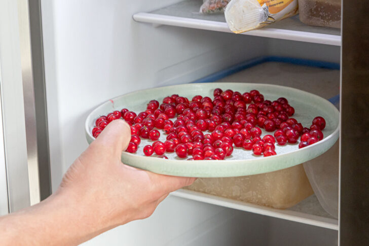 Johannisbeeren vorfrieren