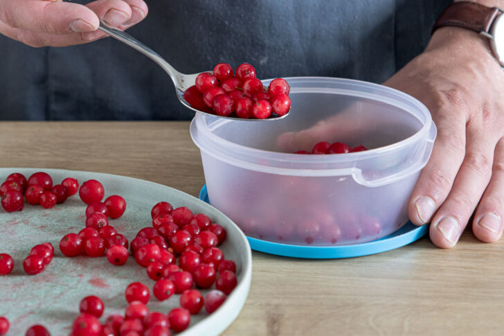 vorgrfrorene Johannisbeeren in Behälter einfrieren