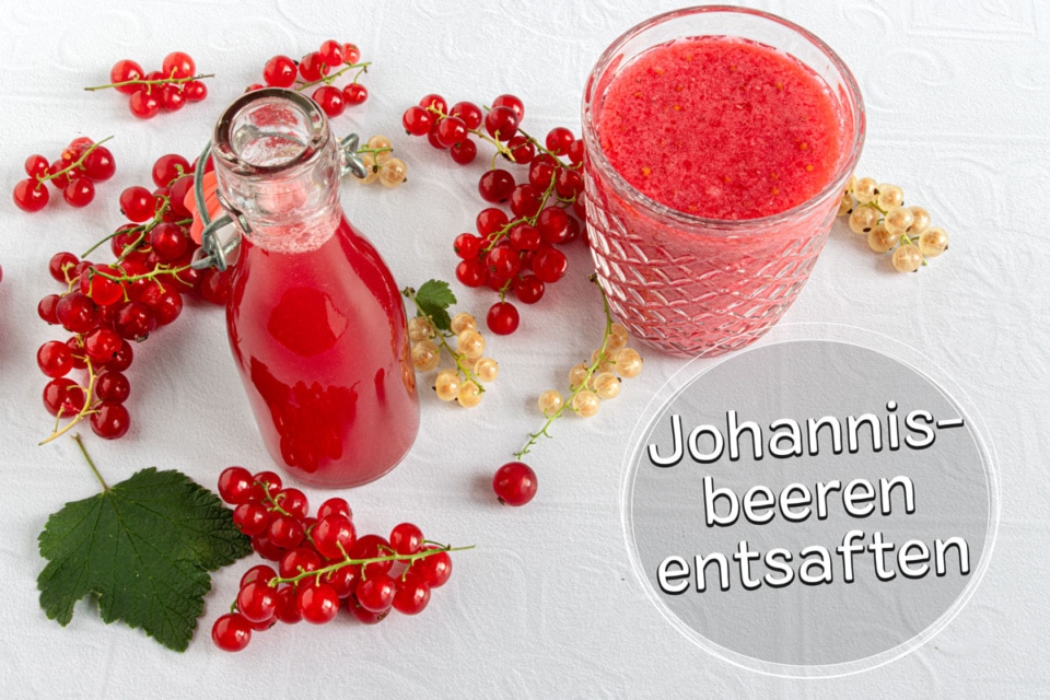Johannisbeeren entsaften: So machst du Johannisbeersaft Johannisbeeren entsaften: So machst du Johannisbeersaft