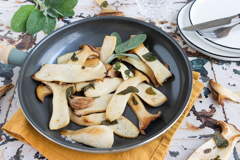 Kräuterseitlinge braten