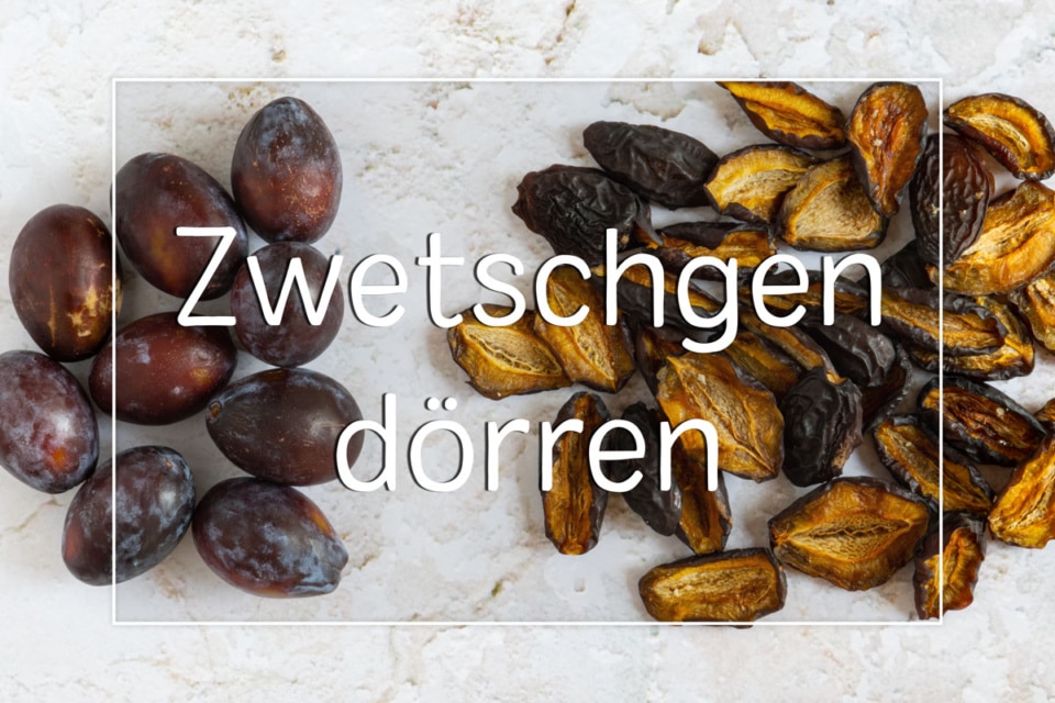 Zwetschgen dörren in Backofen und Dörrautomat