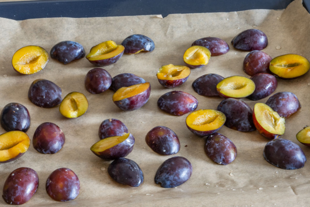 Zwetschgen dörren in Backofen und Dörrautomat