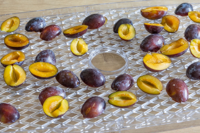 Zwetschgen dörren in Backofen und Dörrautomat Zwetschgen dörren in Backofen und Dörrautomat