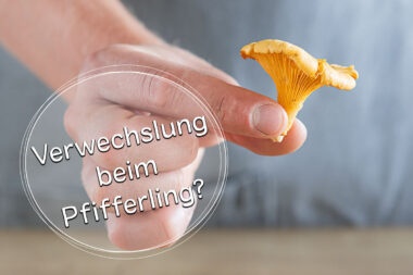 Verwechslung beim Pfifferling - Titel