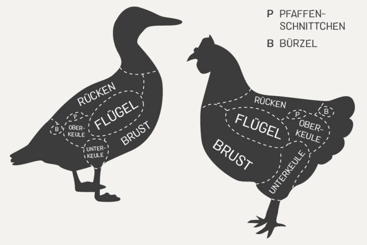 Gefluegel Grafik