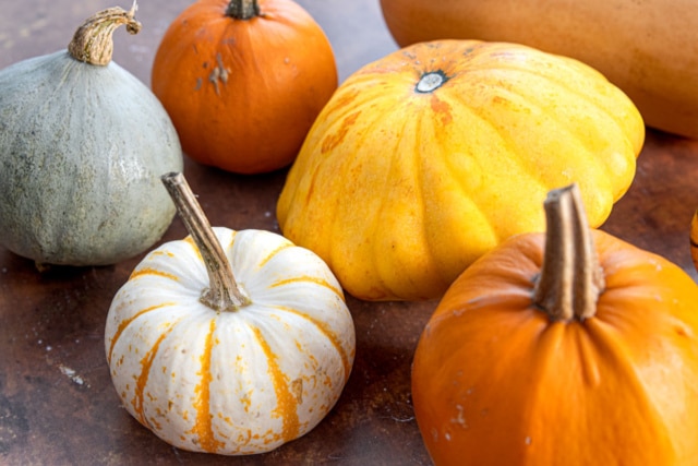 Was zu Kürbissuppe passt: Beilagen, Fleisch &amp; Brot