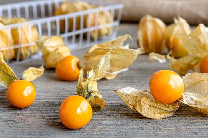 Physalis
