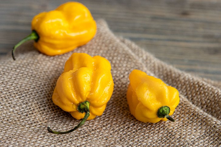 gelbe Chili, Habanero