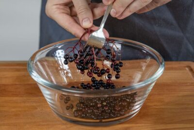 Holunderbeeren von Strauch entfernen