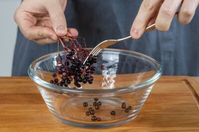 Holunderbeeren von Strauch lösen