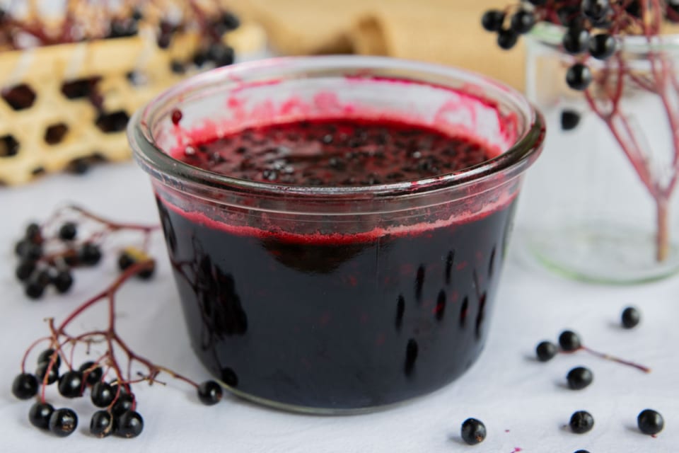 Holunderbeeren ernten: Wann und wie?