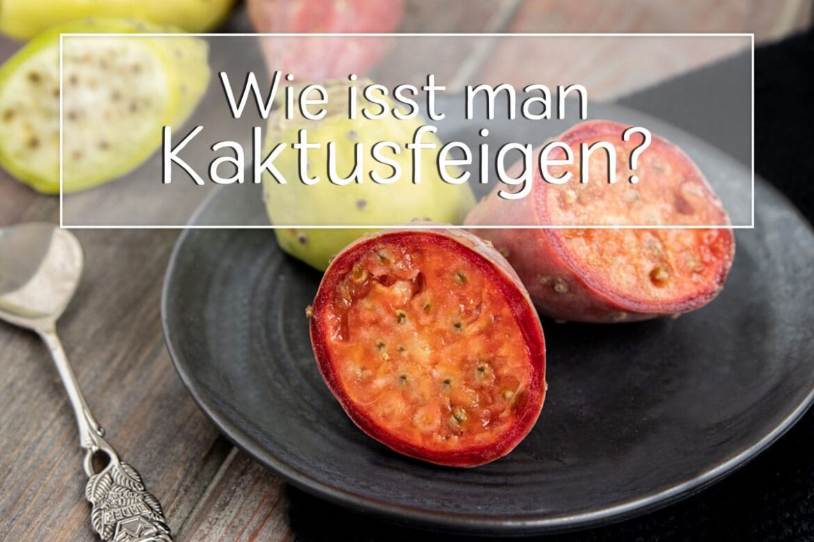 Kaktusfeigen essen