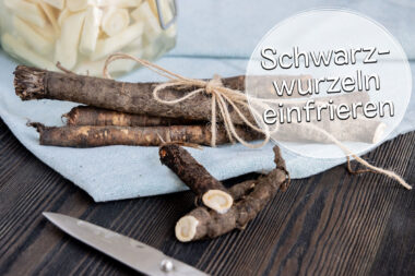 Schwarzwurzeln einfrieren