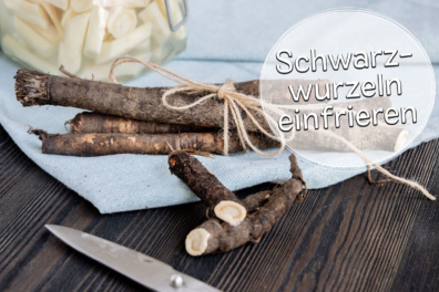 Schwarzwurzeln einfrieren
