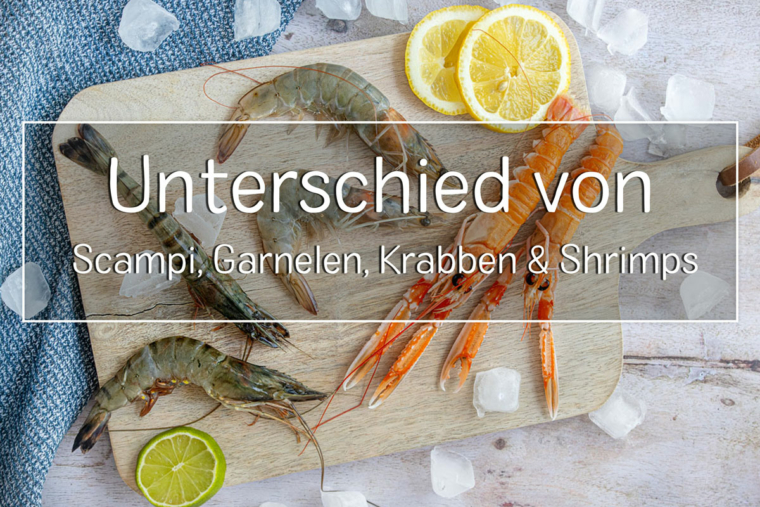 Scampi Garnelen Krabben Shrimps Was Ist Der Unterschied Eat de