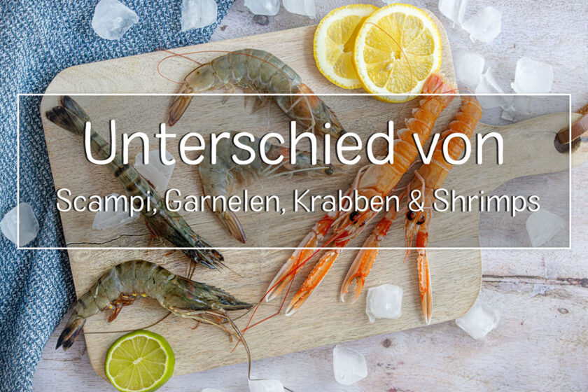 Unterschied Scampi und Garnelen