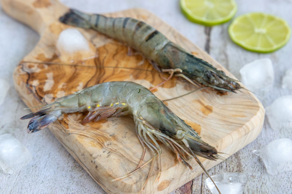 Scampi, Garnelen, Krabben & Shrimps Was ist der Unterschied?