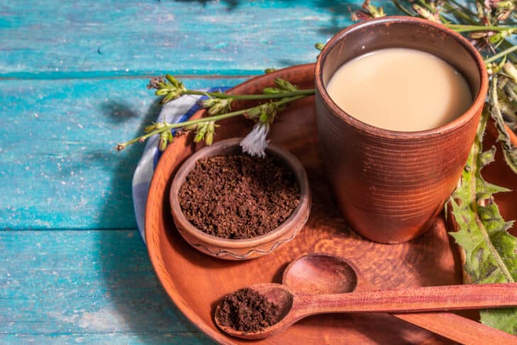 Zichorienwurzel Verwendung als Kaffee