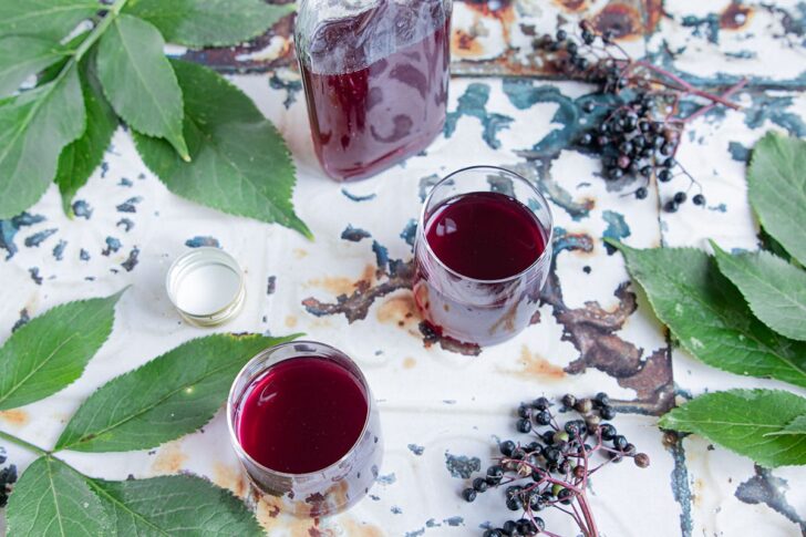 Holunderbeerenschnaps mit Wodka
