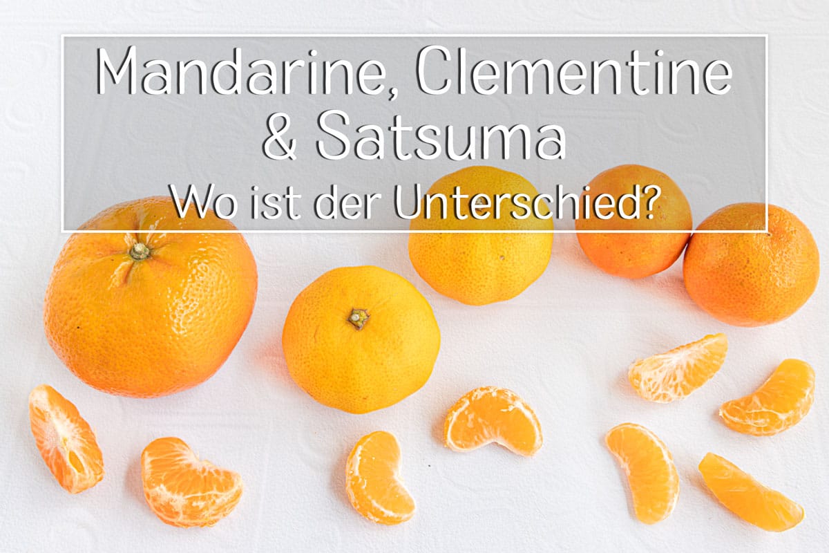Mandarine, Clementine, Satsuma: der besteht Unterschied? Worin