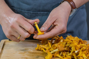 Pfifferlinge putzen