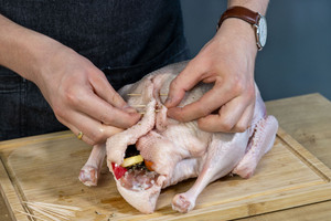 Gans mit Zahnstochern verschließen
