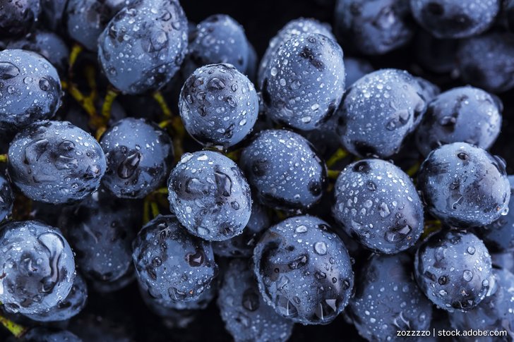 Blaue Weintrauben