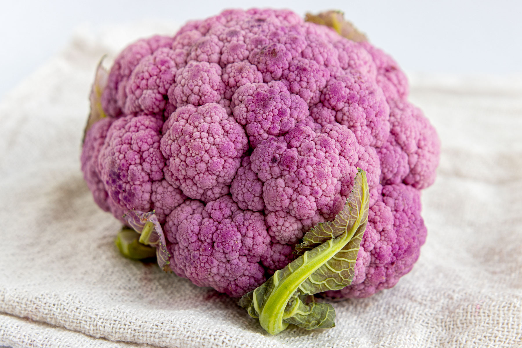 blauer Blumenkohl