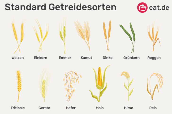 Getreidesorten erkennen