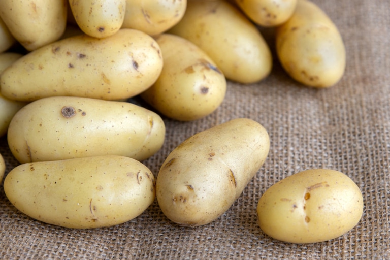 Welche Kartoffeln für selbstgemachte Pommes? eat.de