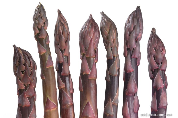 Violetter Spargel