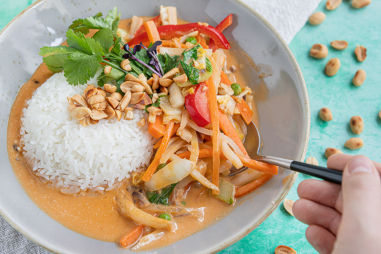 Vegetarisches Panang Thai Curry
