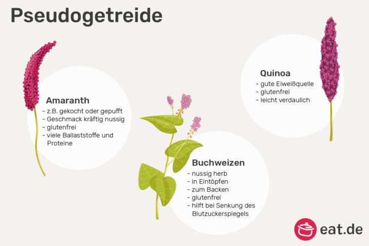 Pseudogetreide erkennen
