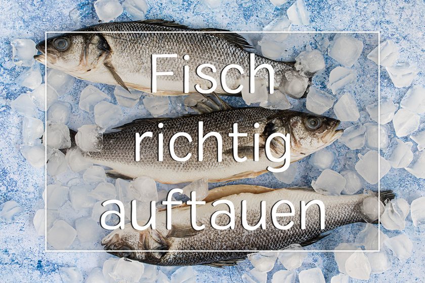 Fisch auftauen - Titel