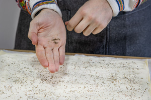 Blätterteig mit Kräutern bestreuen
