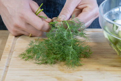Dill vorbereiten